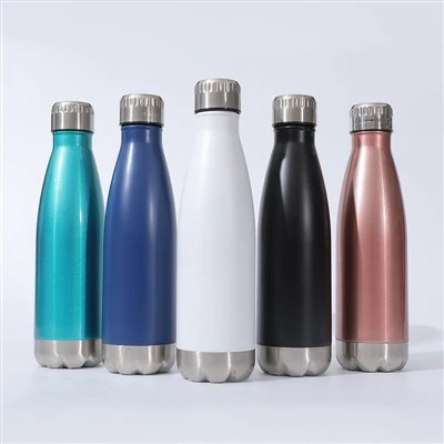 Insulated Sports Water Bottle