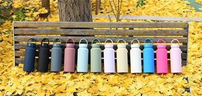 Sports Bottle with Handle